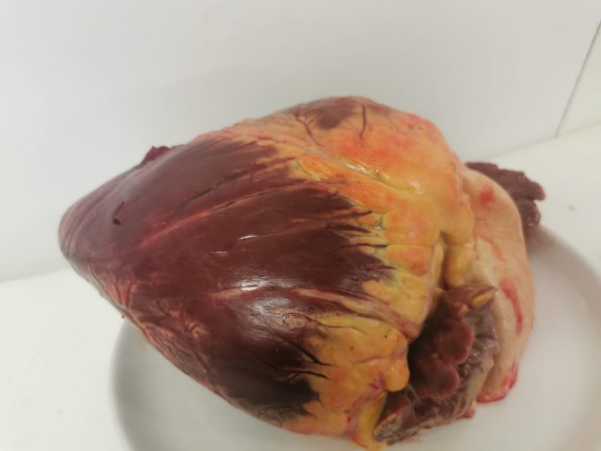 Beef Heart (large)