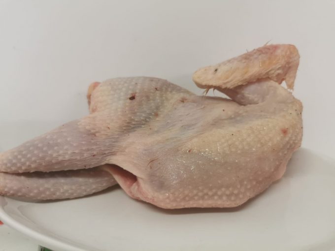 Hard Chicken