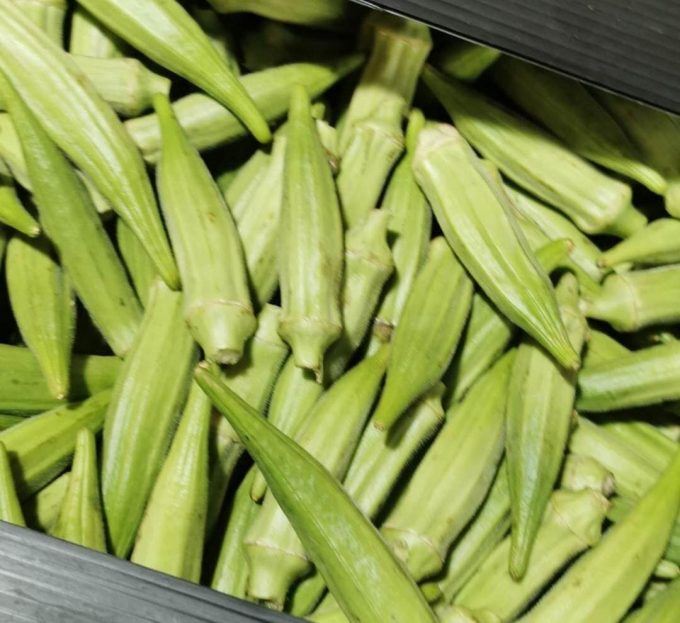 Okra