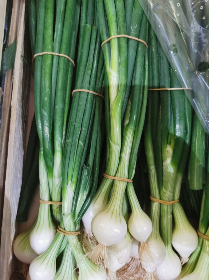 Spring Onion